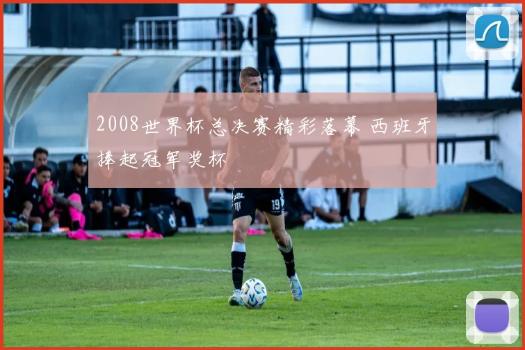 2008世界杯总决赛精彩落幕 西班牙捧起冠军奖杯